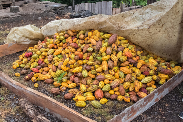 From the Tropical Paradise: Authentic Dakhin Recipes from São Tomé and Príncipe