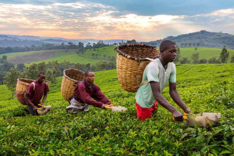 Traditional Food in Uganda