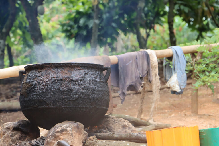 The Time-Honored Cooking Techniques of Africa: Earth, Fire, and Flavor