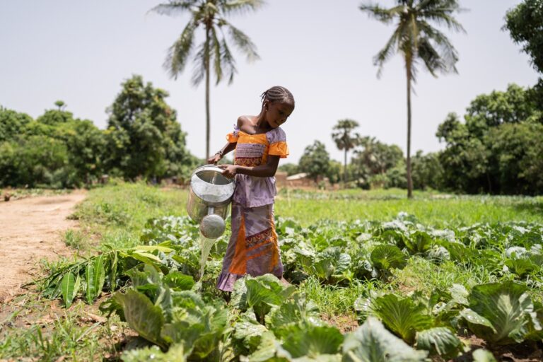 Mali’s Culinary Landscape: A Melody of Ancient Traditions and the Niger River