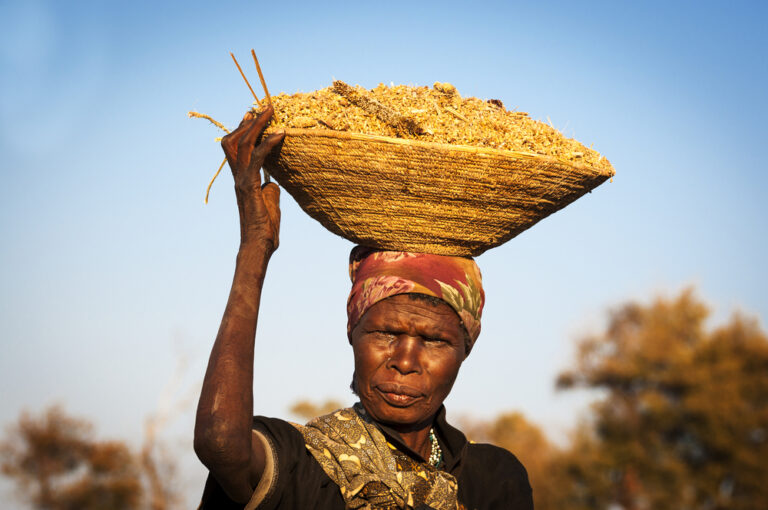 Namibian Cuisine: A Mélange of Desert and Ocean Flavors