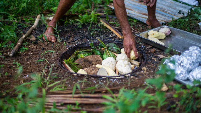 Traditional Food of Tonga